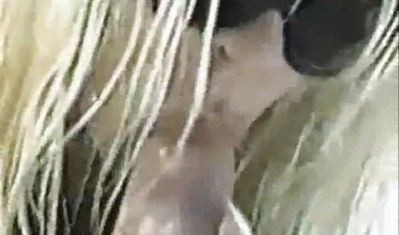 Impaledによってaコック 女性 の ため の エッチ な 動画